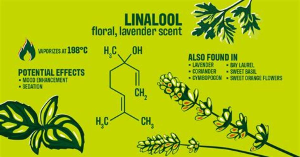Is Linalool a Natural