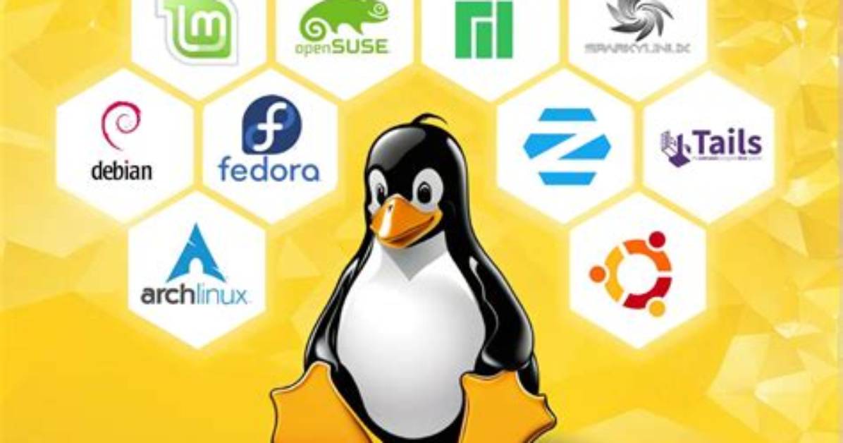 Is Linux a Coding?