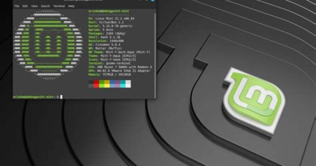Is Linux Mint Good for Programming?