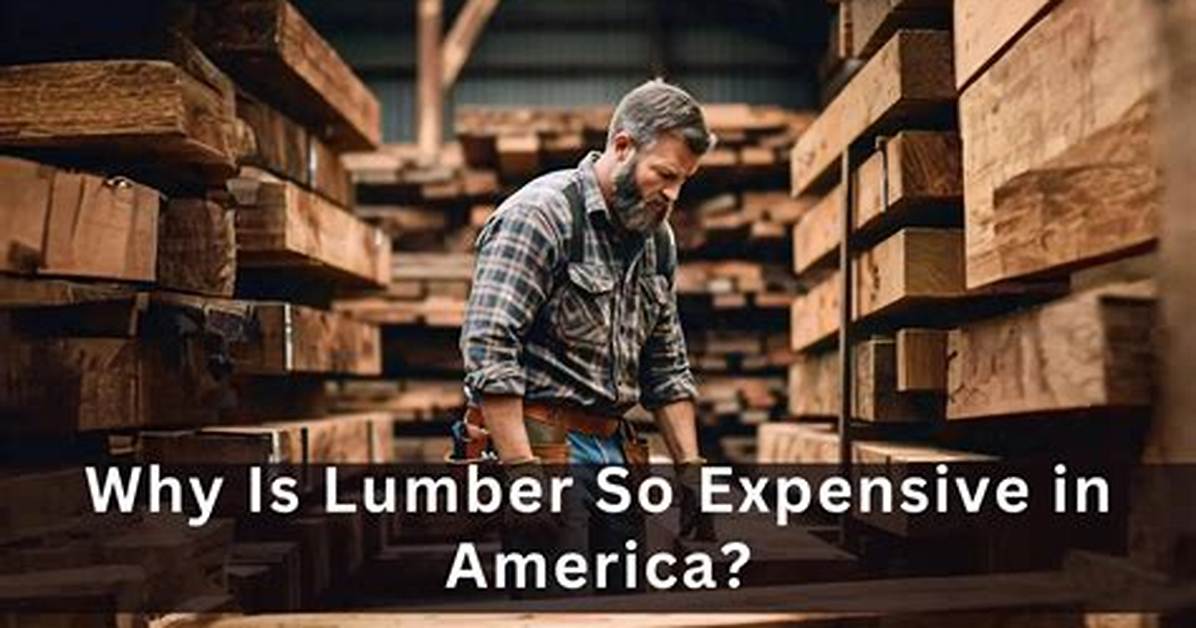 Is Lumber So Expensive?