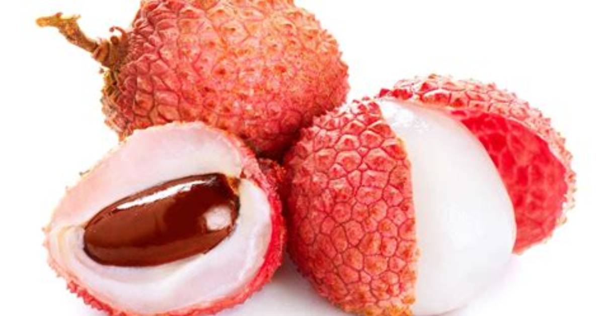 Is Lychee a Fruit or a Nut