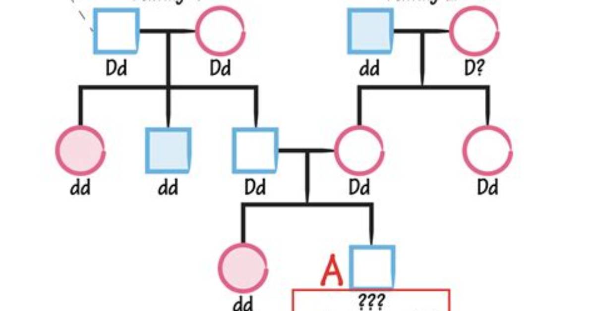 Is Magic a Recessive Trait