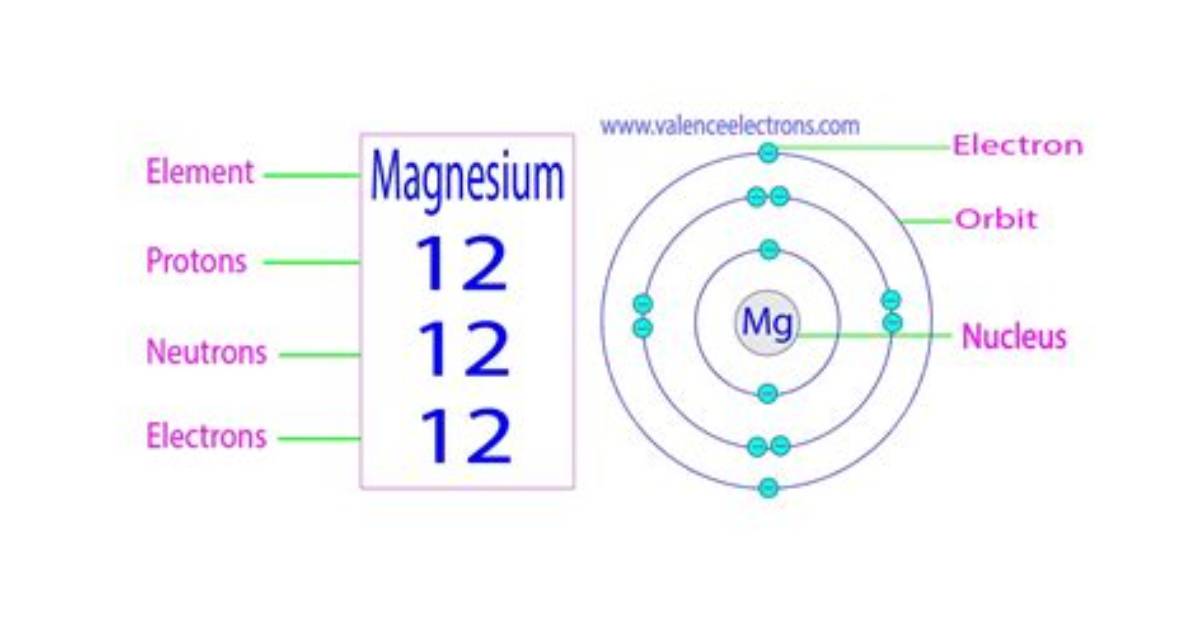 Is Magnesium in Protons?