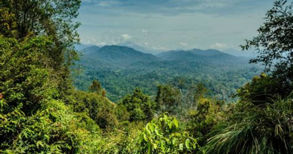 Is Malaysia a Rainforest