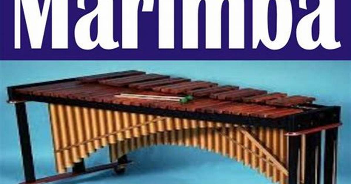 Is Marimba Easy to Learn?