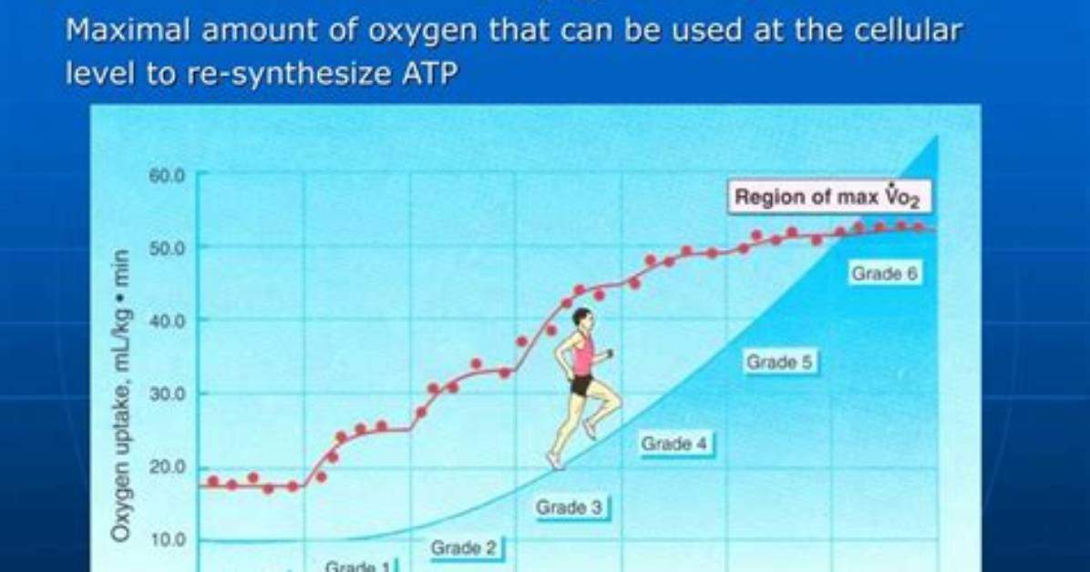 Is Maximal Oxygen Uptake?