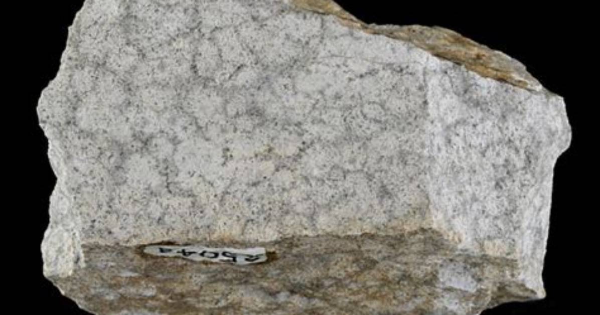 Is Metamorphosed Quartz Sandstone?