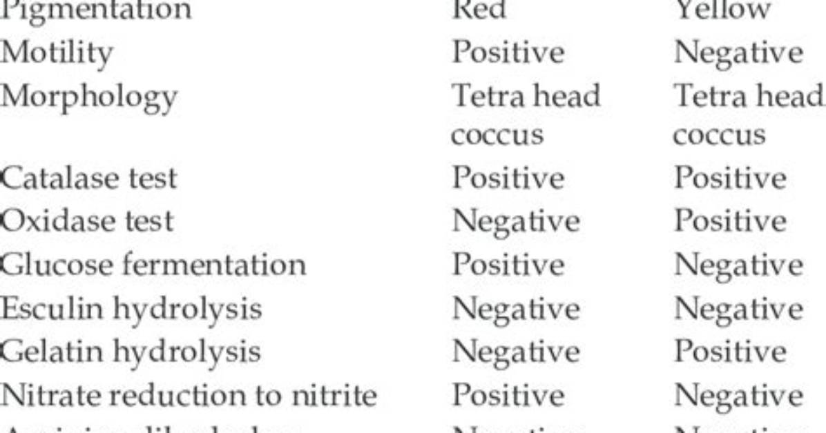 Is Micrococcus Luteus Nitrate Positive