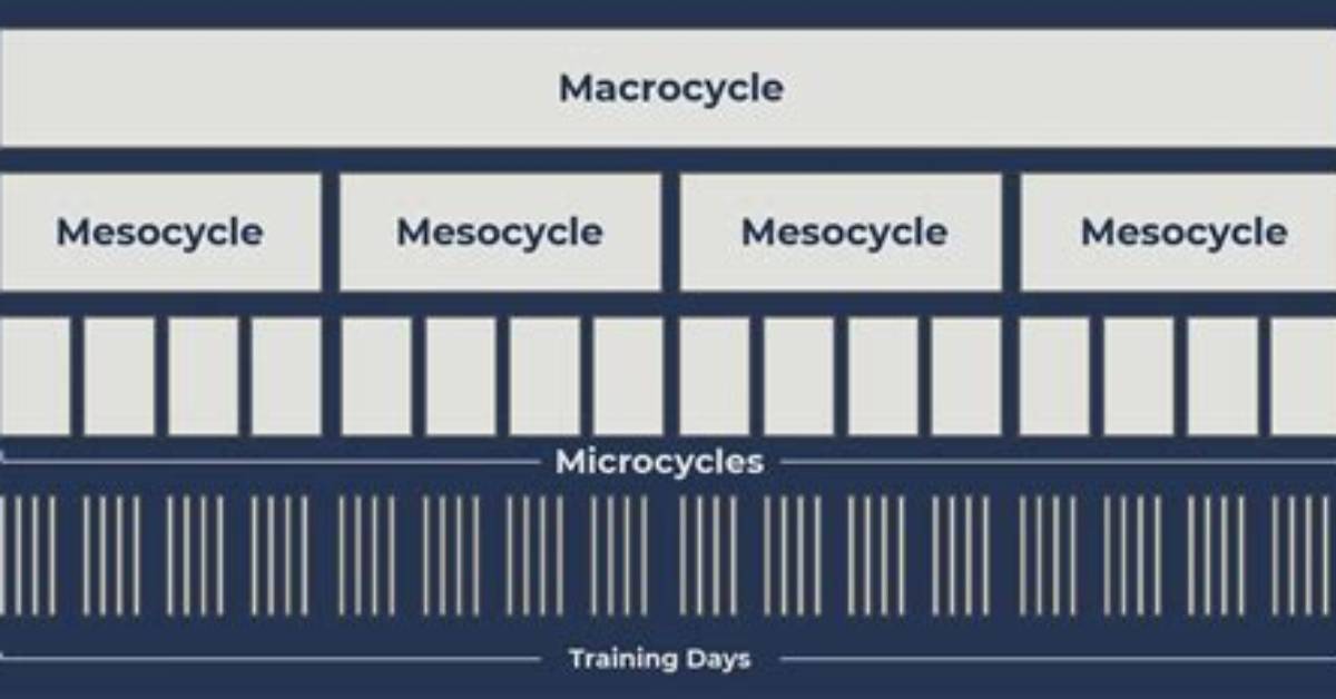 Is Microcycle a Word?