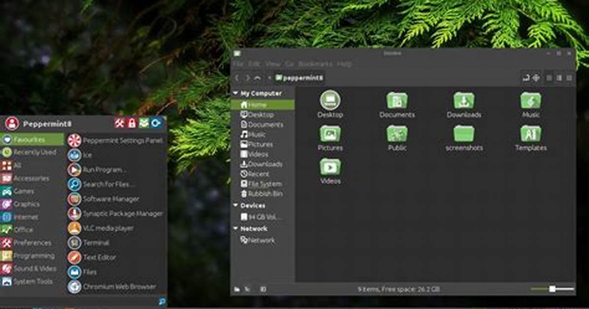 Is Mint Linux Lightweight?