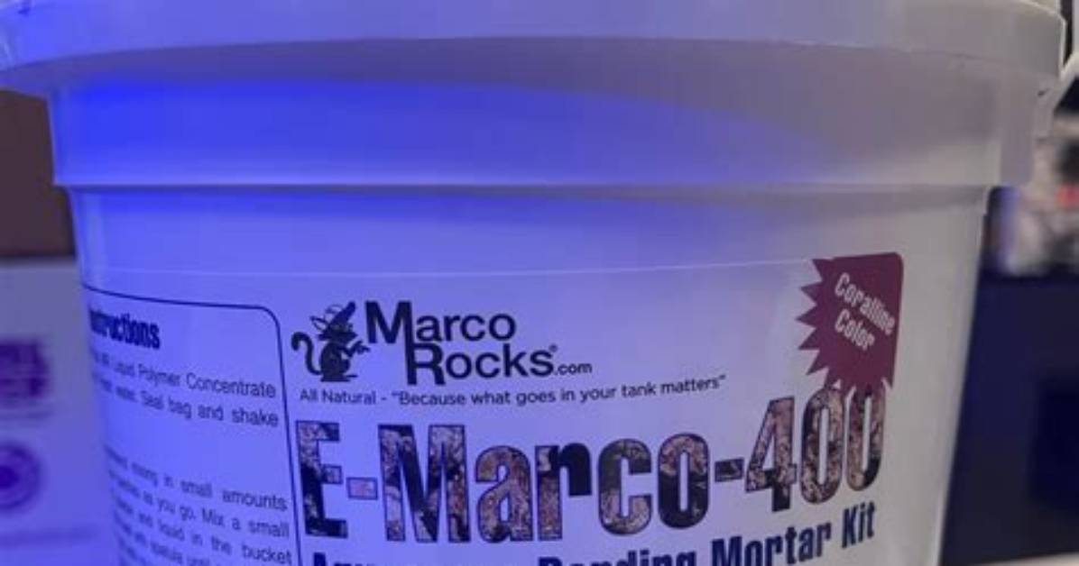 Is Mortar Safe for Fish