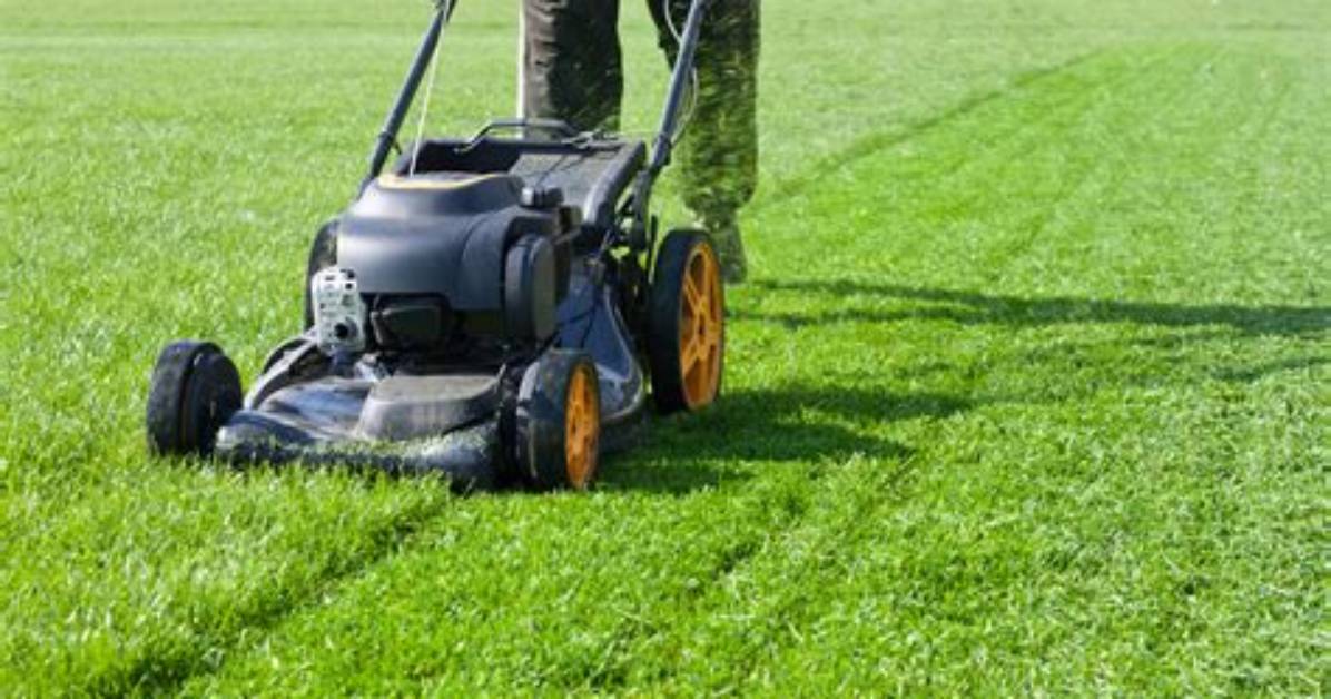 Is Mowing Good for Grass