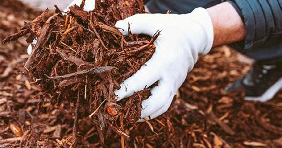 Is Mulch Eco Friendly