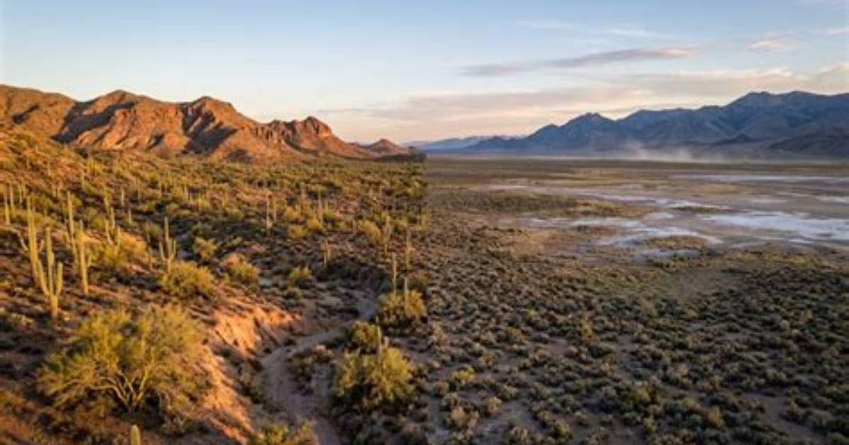 Is Nevada Only Desert