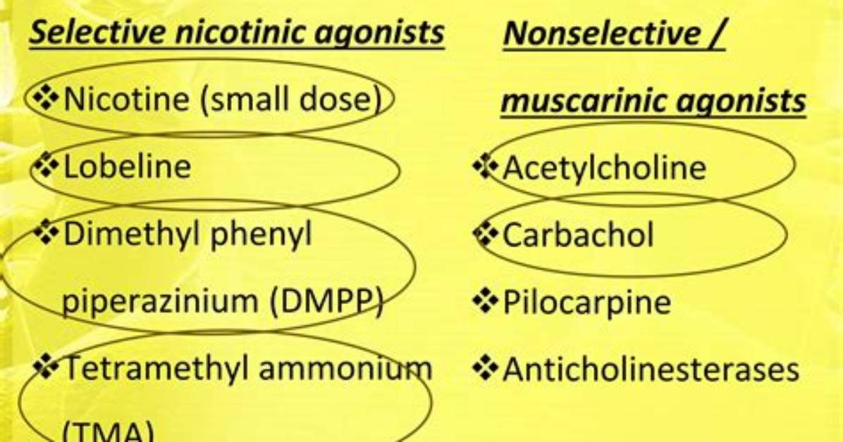 Is Nicotine a Ganglionic Blocker?