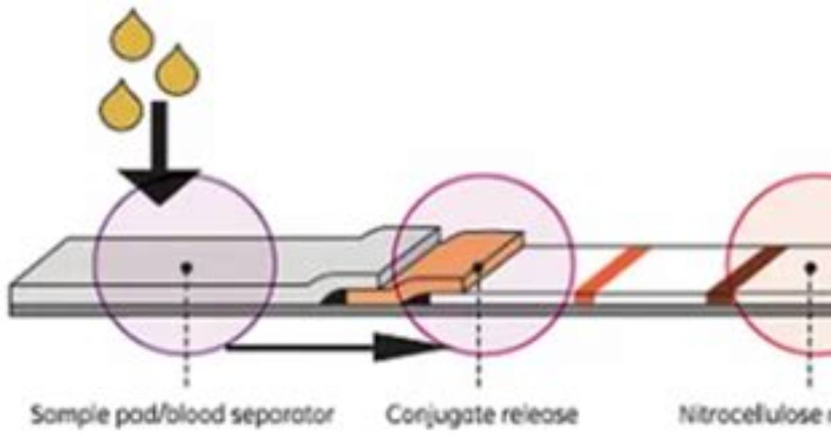Is Nitrocellulose a Plastic