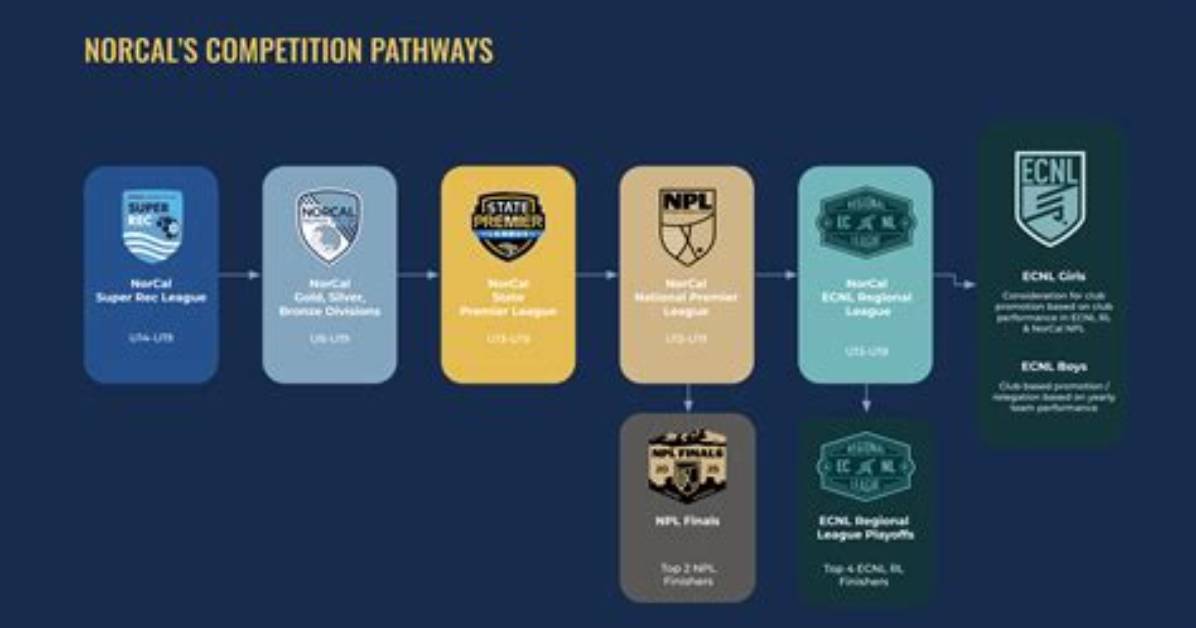 Is Npl Higher Than Ecnl?