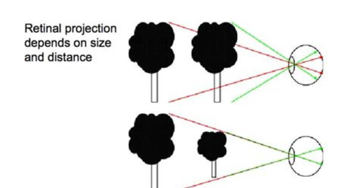 Is Occlusion a Monocular Cue?