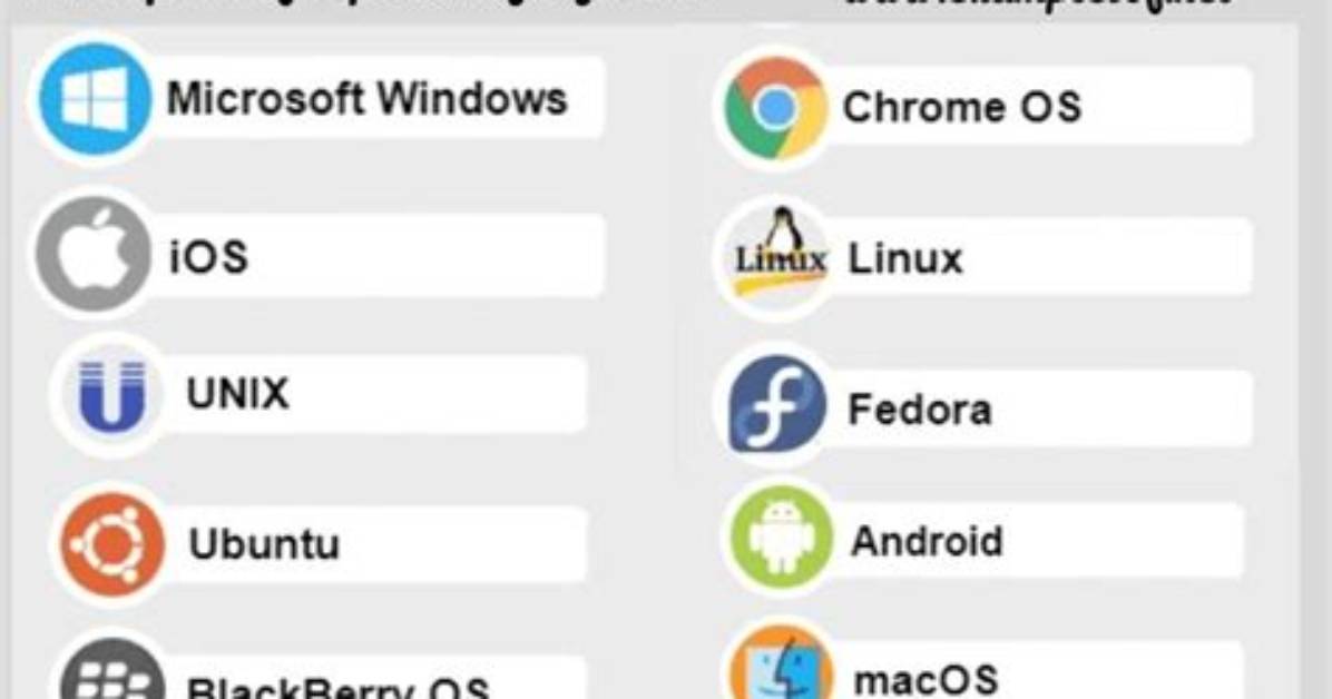 Is Operating System an Example of System Software?