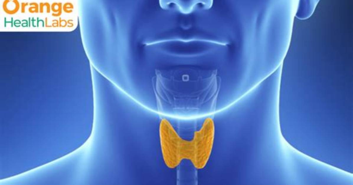Is Orange Good for Thyroid?