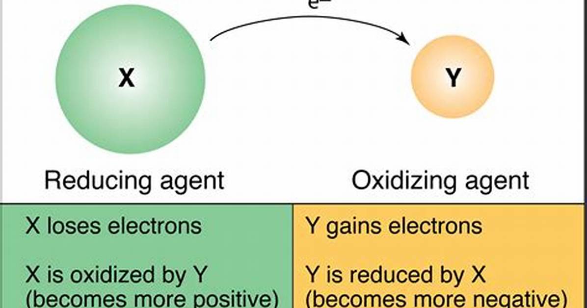 Is Oxidation Positive or Negative