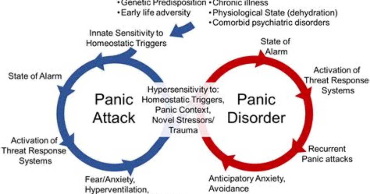 Is Panic Attack Genetic