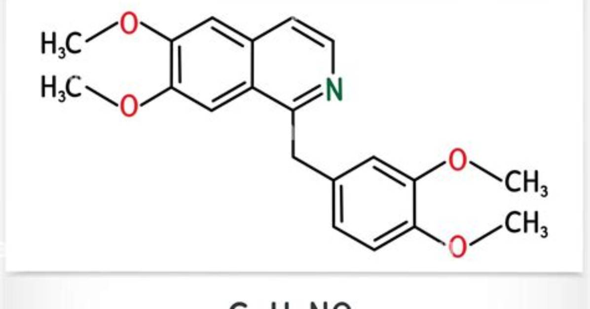 Is Papaverine a Molecule?