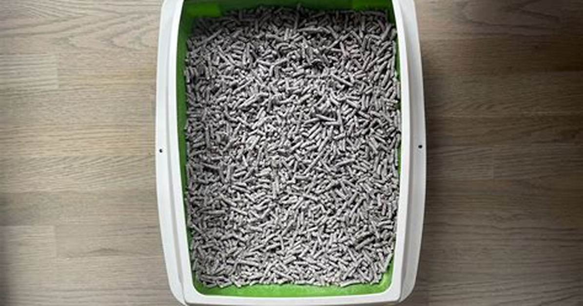 Is Paper Cat Litter Flushable?