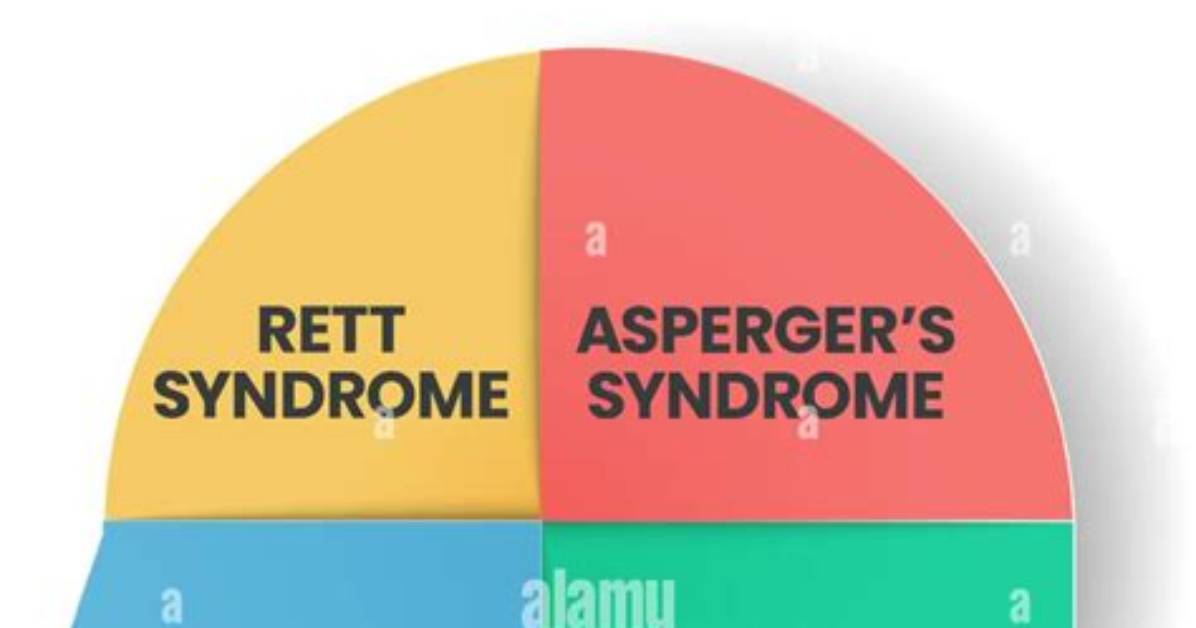 Is Pdd Autism