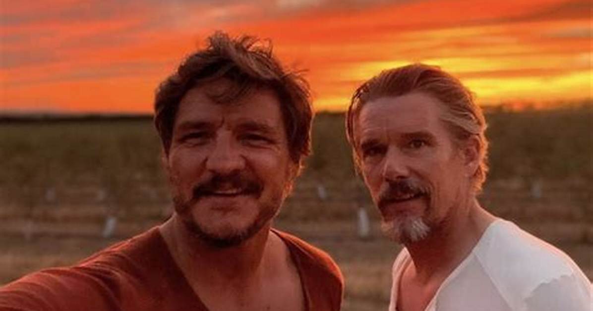 Is Pedro Pascal Gay?