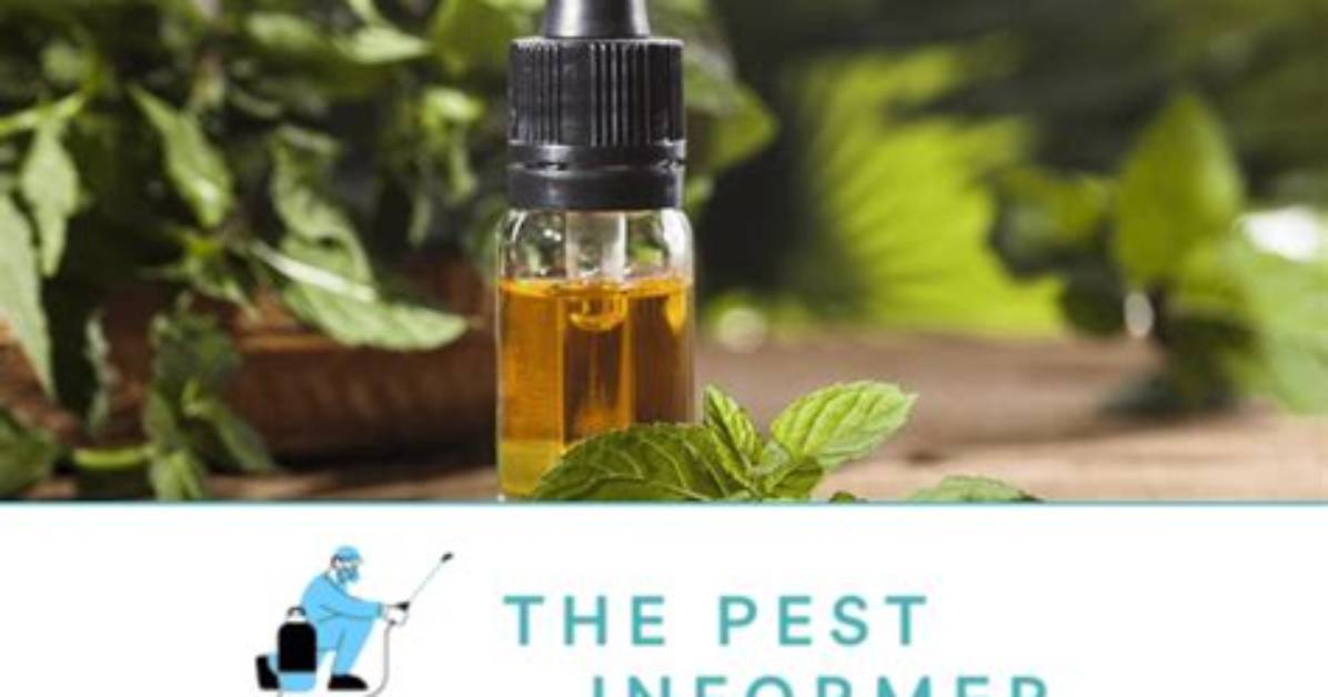 Is Peppermint Oil Toxic