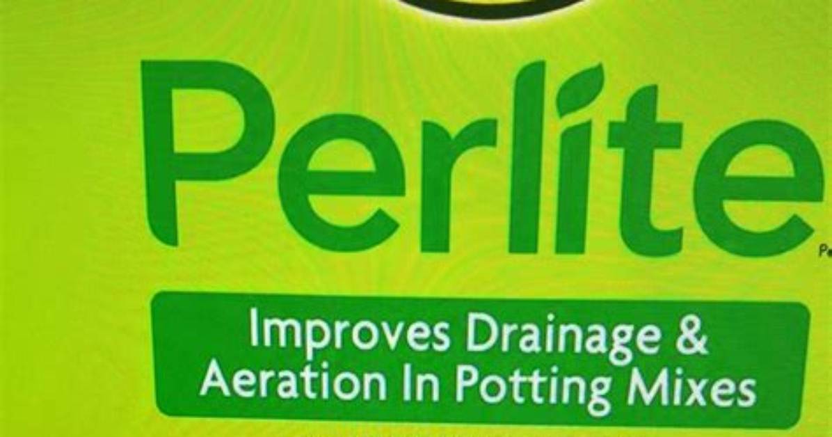 Is Perlite Safe to Use