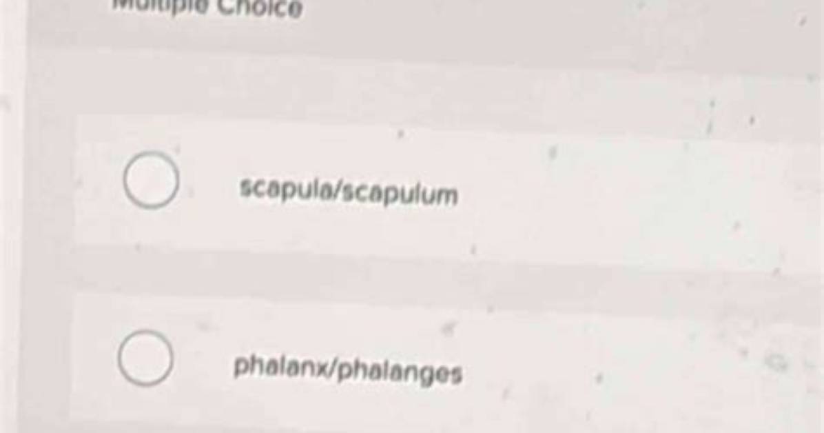 Is Phalanges Singular or Plural?