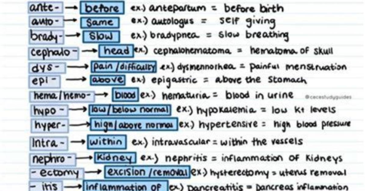 Is Pharmd Higher Than Rph