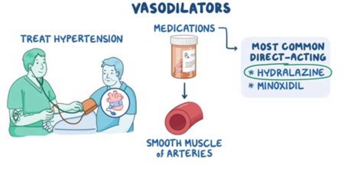 Is Phentermine a Vasodilator? | Contextresponse. Com