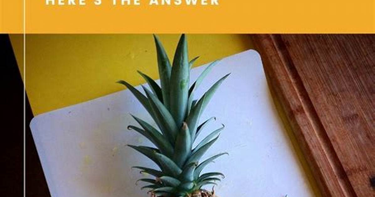 Is Pineapple a Citrus Fruit