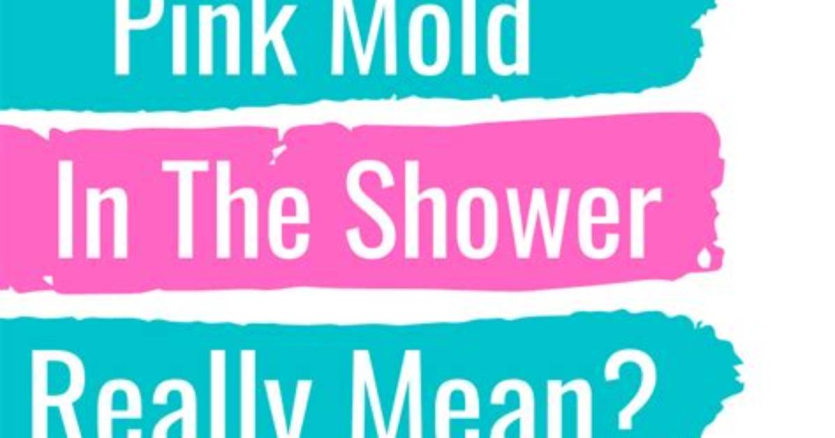Is Pink Mold Toxic