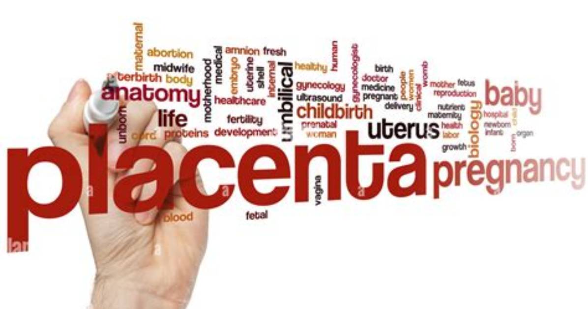 Is Placenta a Word?