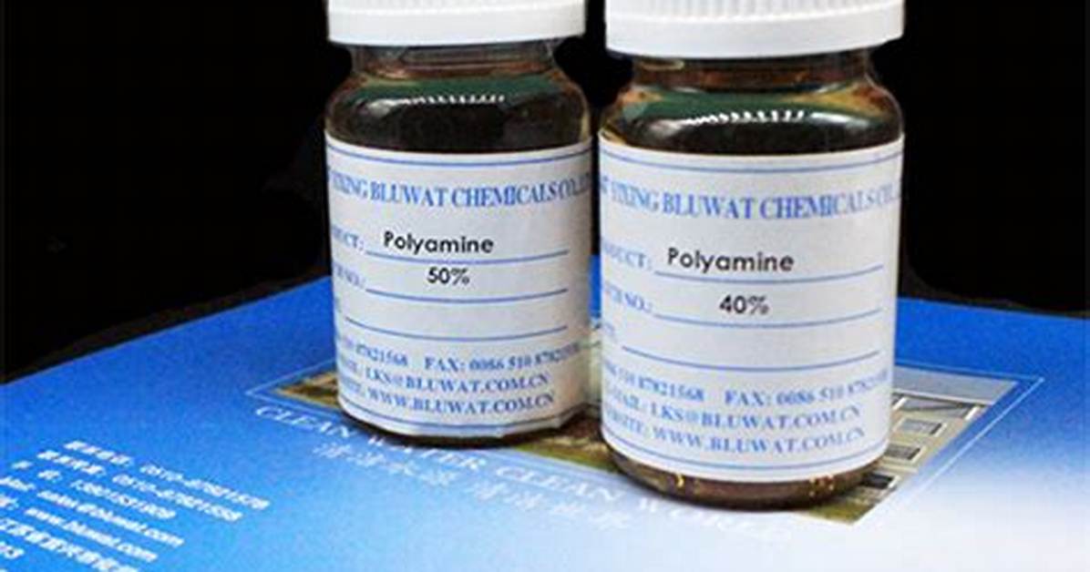 Is Polyamine a Polymer?