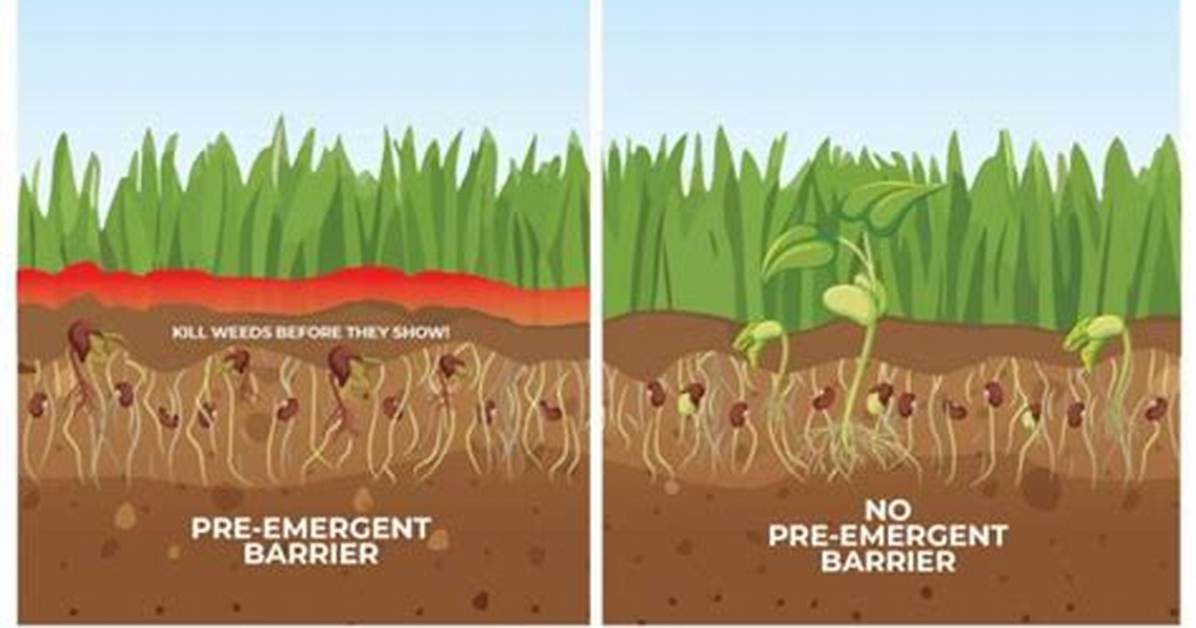 Is Pre Emergent Harmful