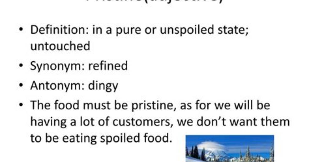 Is Pristine an Adjective