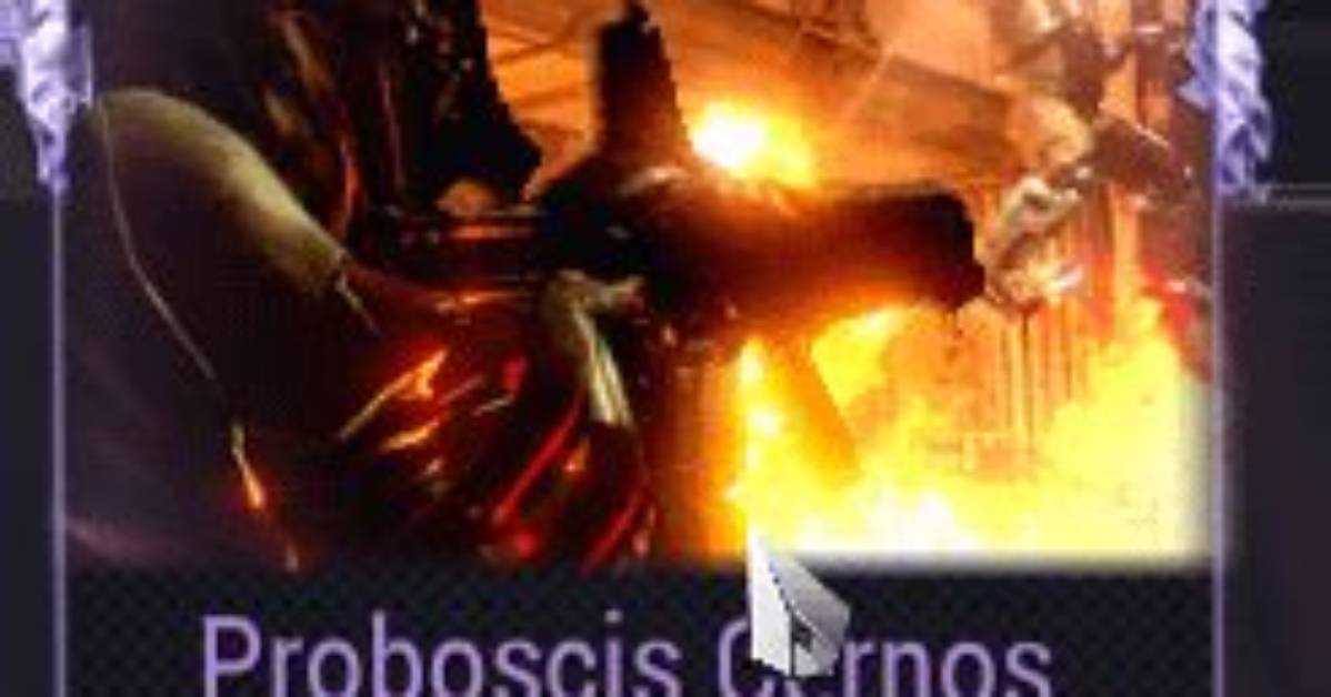 Is Proboscis Cernos Good?
