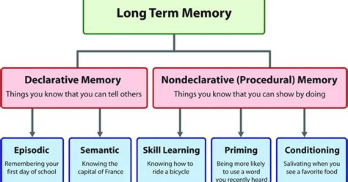 Is Procedural Memory Nondeclarative?