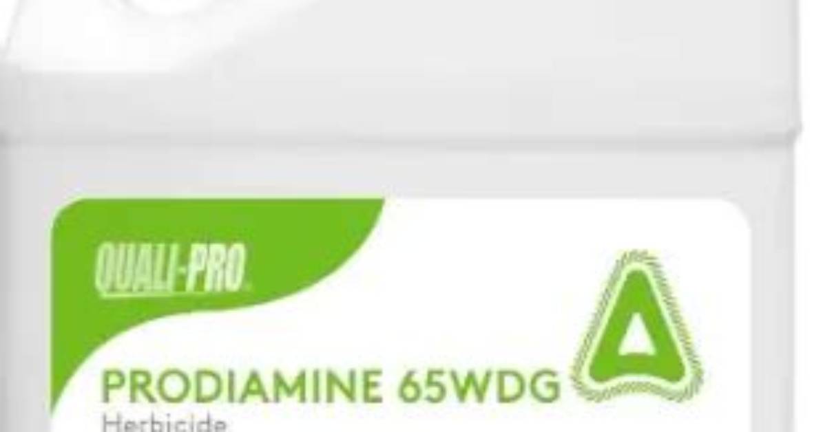 Is Prodiamine Safe for Pets