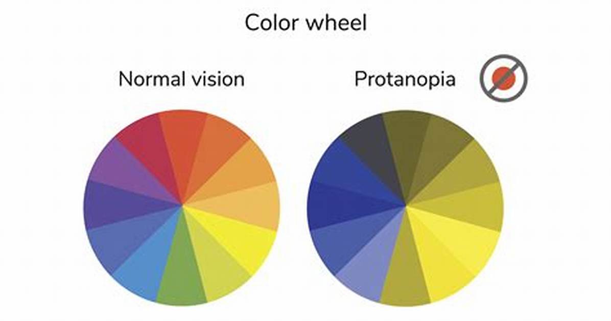 Is Protanopia or Deuteranopia More Common?