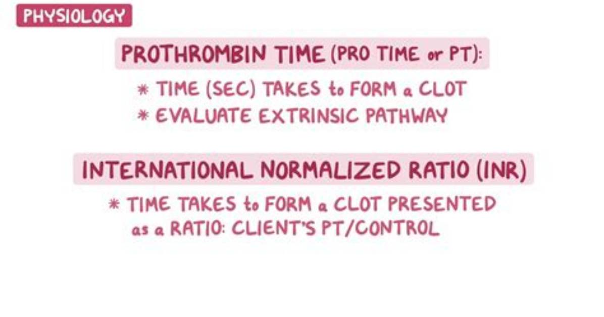 Is Prothrombin Time the Same as Inr?