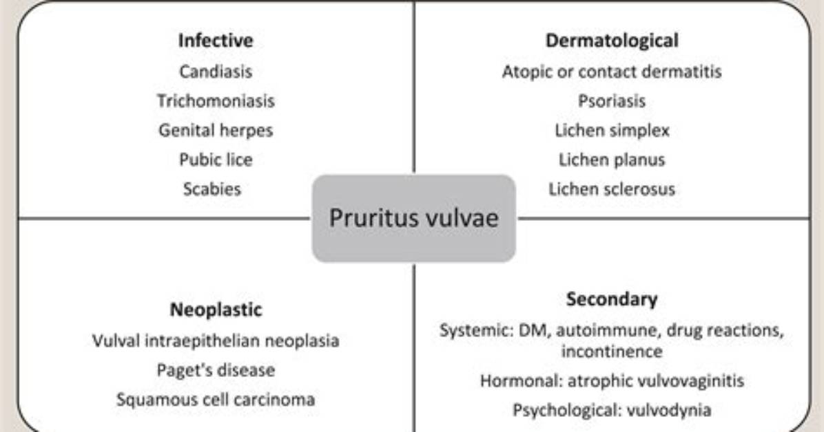 Is Pruritus Vulvae Contagious?