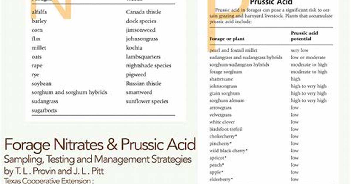 Is Prussic Acid a Compound?