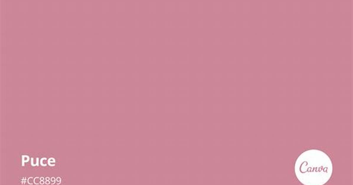 Is Puce a Colour