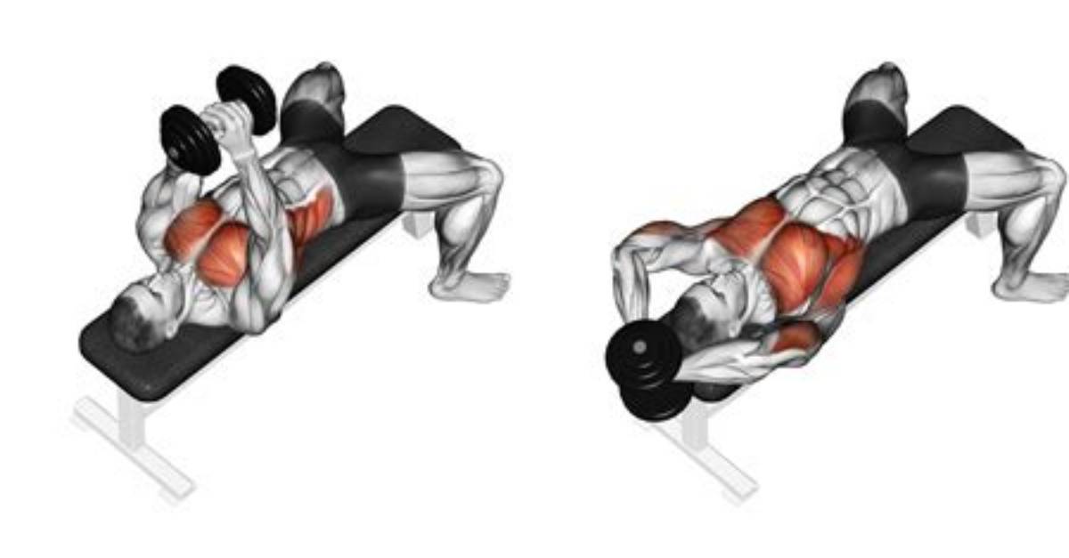 Is Pullover Chest or Back